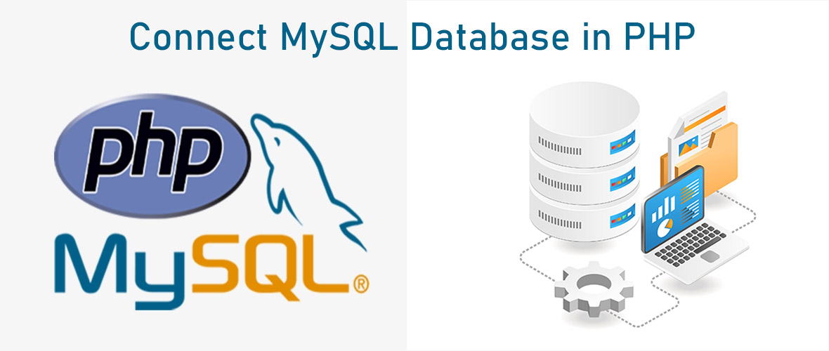 Connect MySQL Database